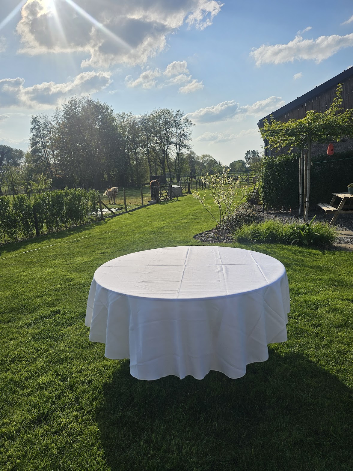 Tafelkleed wit, tafel 150cm
